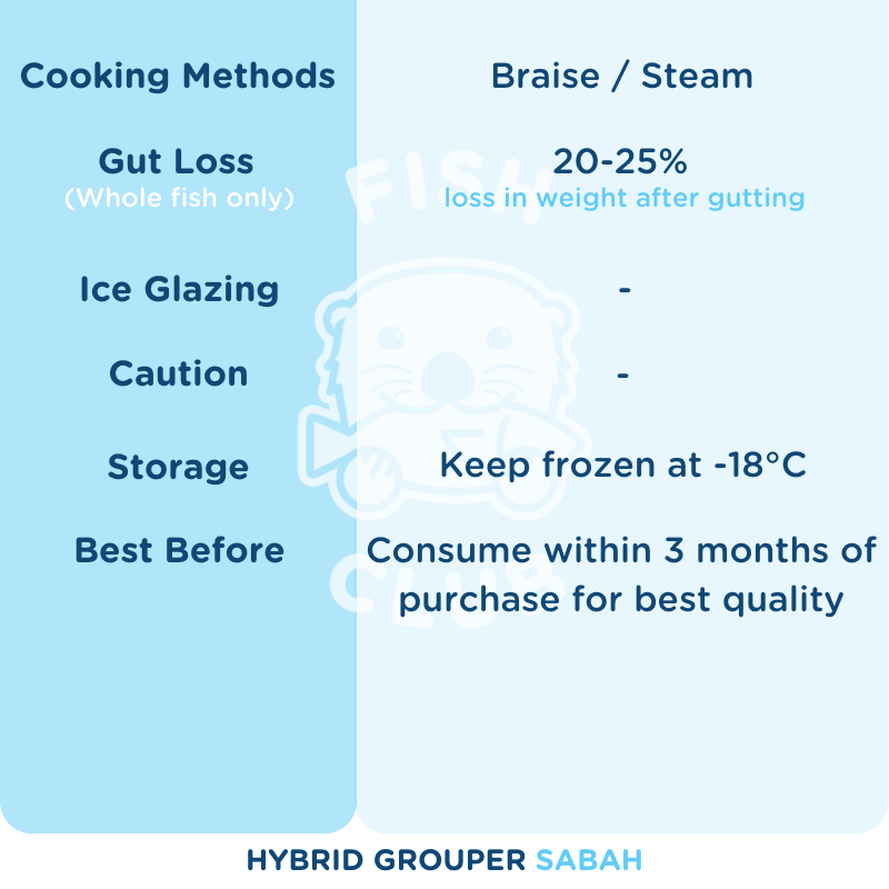 Hybrid Grouper (Sabah Farmed) Fillet / 龙虎斑 (沙巴养殖) 厚片 - Fish Club