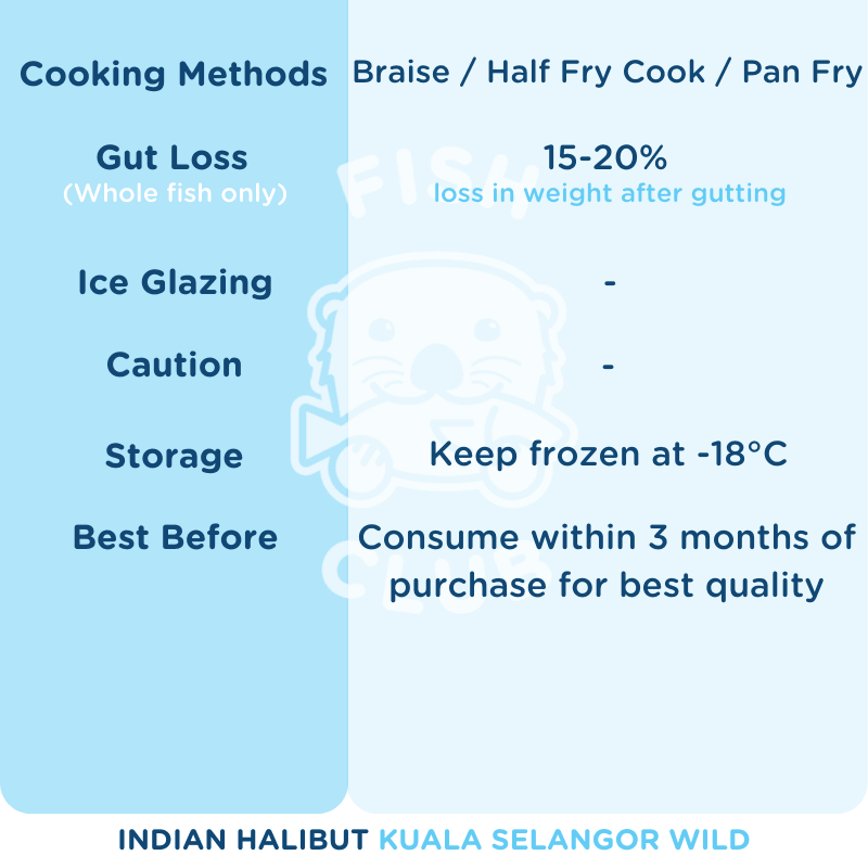 Indian Halibut (Kuala Selangor Wild) / 左口 (瓜雪野生) - Fish Club