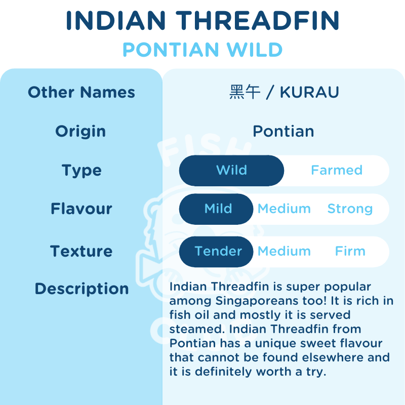 Indian Threadfin (Pontian Wild) Steak / 黑午(笨珍野生)鱼段 / Kurau - Fish Club