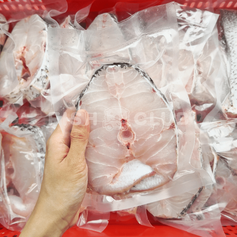 Indian Threadfin (Pontian Wild) Whole Steak / 黑午(笨珍野生)全鱼段 - Fish Club