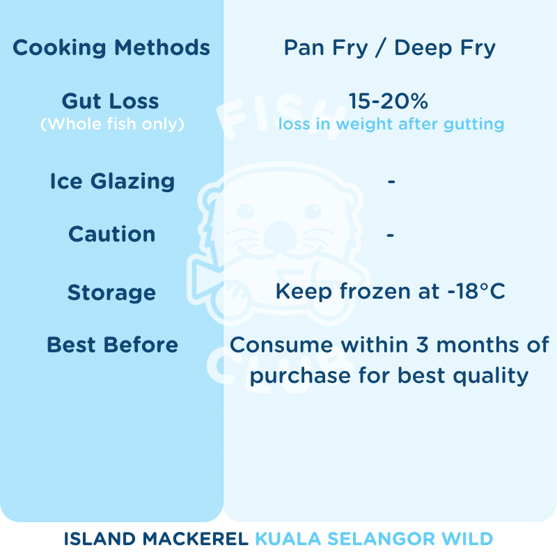 Island Mackerel (Kuala Selangor Wild) / 马文鱼 (瓜雪野生) - 500g - Fish Club
