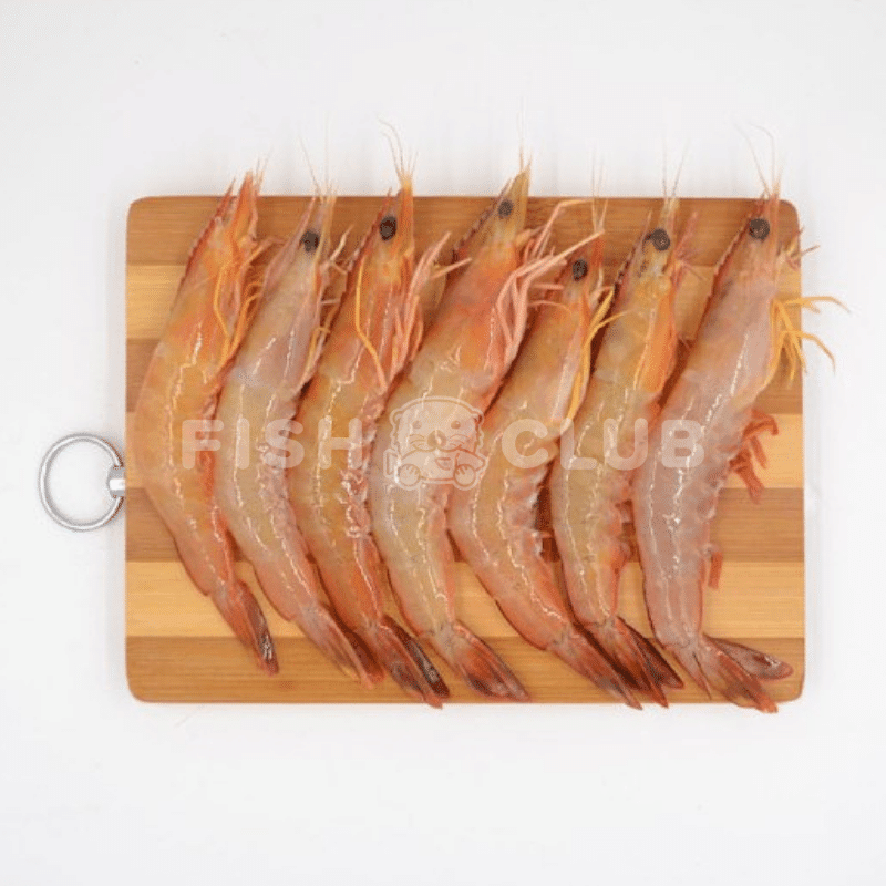 King Prawns (Pontian Wild) / 红脚大虾（笨珍野生）- 300g - Fish Club