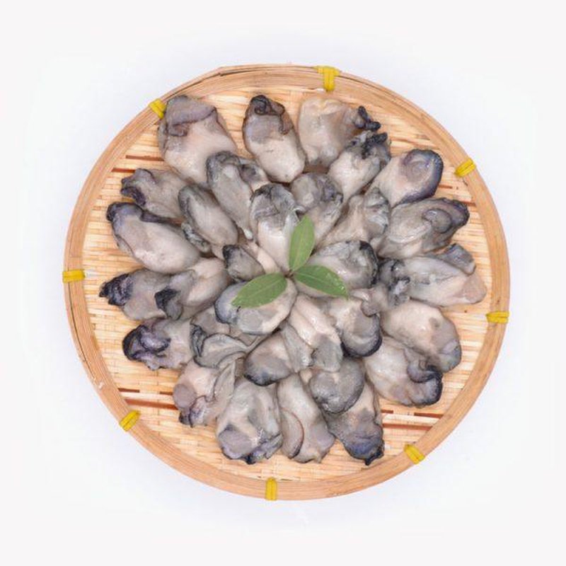 Korean Oyster / 韩国生蚝肉 - 500g - Fish Club