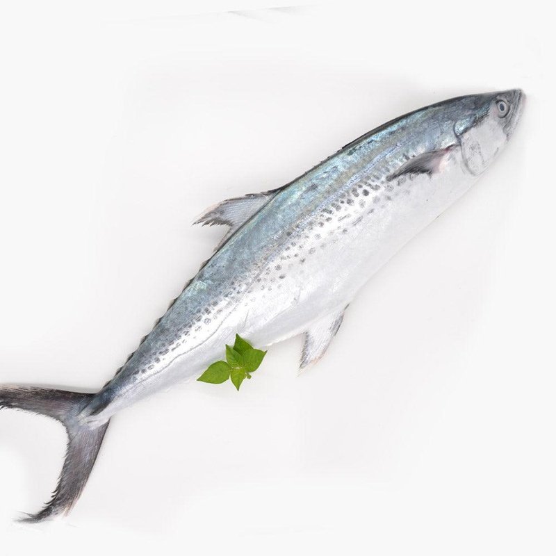 Korean Seerfish (Pontian Wild) Fillet / 大板鲛鱼(笨珍野生)厚片 - Fish Club