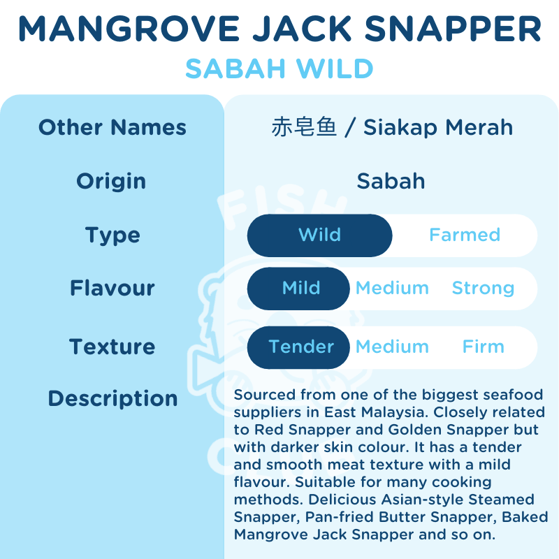 Mangrove Jack Snapper (Sabah Wild)/ 赤皂 (沙巴野生) - Fish Club
