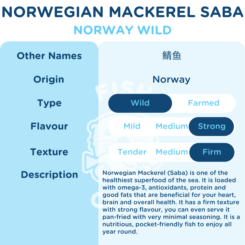 Norwegian Mackerel Fillet (Saba) / 鲭鱼厚片 - Fish Club