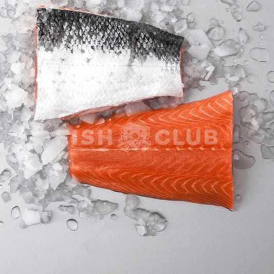 Norwegian Rainbow Trout Fillet (Tail) / 挪威三文鱼厚片(尾部) - Fish Club