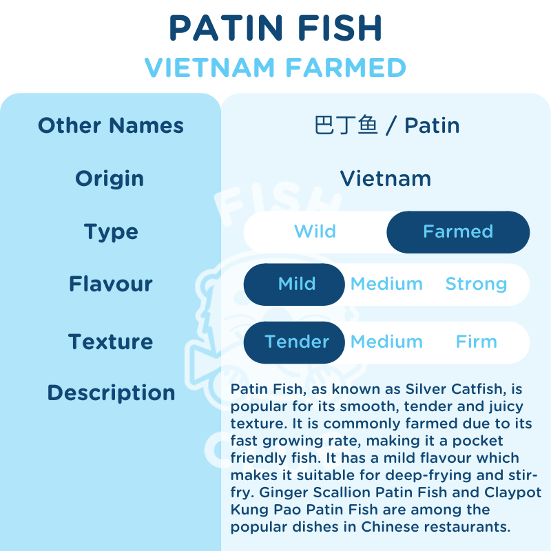 Patin Catfish Slices / 巴丁鱼薄片- 1kg - Fish Club