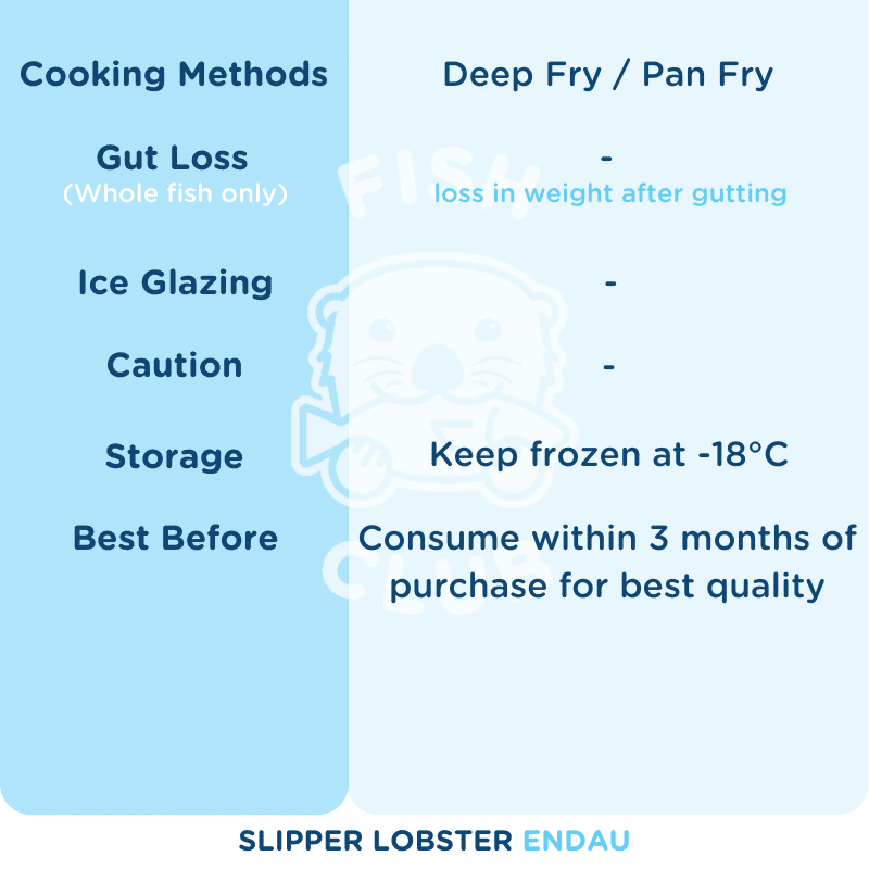 Peeled Slipper Lobster Meat (Endau Wild) / 虾婆肉 (兴楼野生) - Fish Club