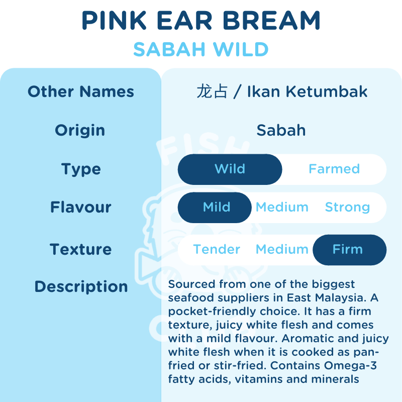 Pink Ear Bream (Sabah Wild) / 龙占 (沙巴野生) - Fish Club