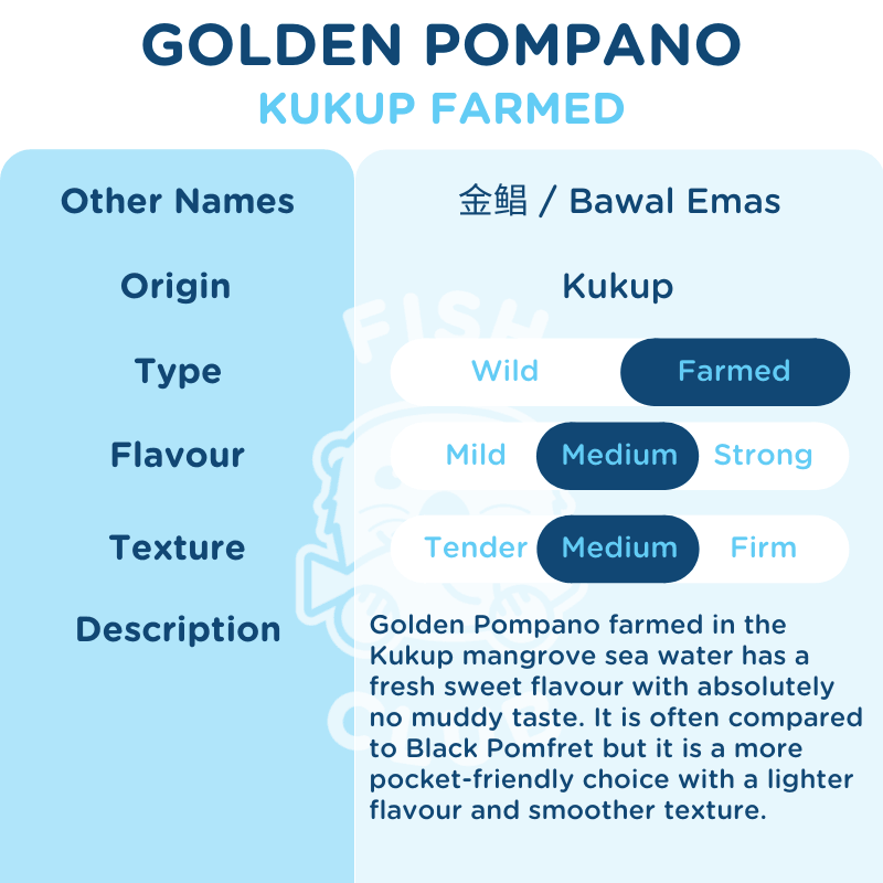 Pompano (Kukup Farmed) / 金鲳(龟咯海养) - Fish Club