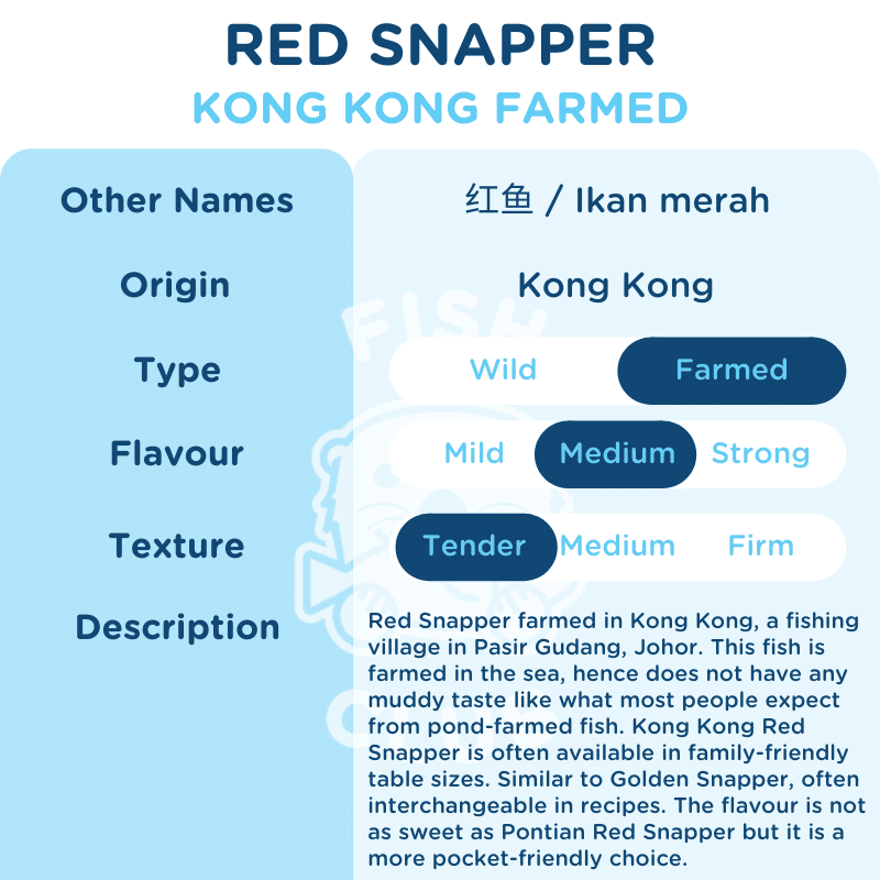Red Snapper (Kong Kong Farmed) / 红鱼(贡贡海养) - Fish Club