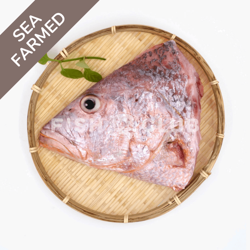 Red Snapper (Kukup Farmed) Head / 红鱼(龟咯海养)鱼头 - Fish Club