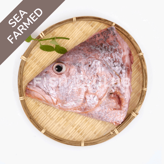 Red Snapper (Kukup Farmed) Head / 红鱼(龟咯海养)鱼头 - Fish Club