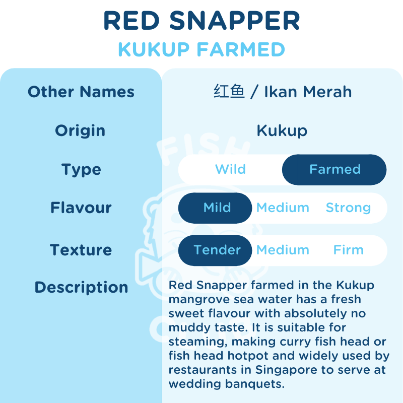 Red Snapper (Kukup Farmed) Head / 红鱼(龟咯海养)鱼头 - Fish Club