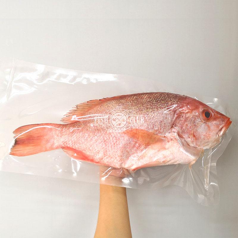 Red Snapper (Pontian Wild) / 红鱼(笨珍野生) - Fish Club