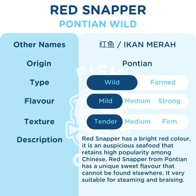 Red Snapper (Pontian Wild) Fillet / 红鱼(笨珍野生)厚片 - Fish Club