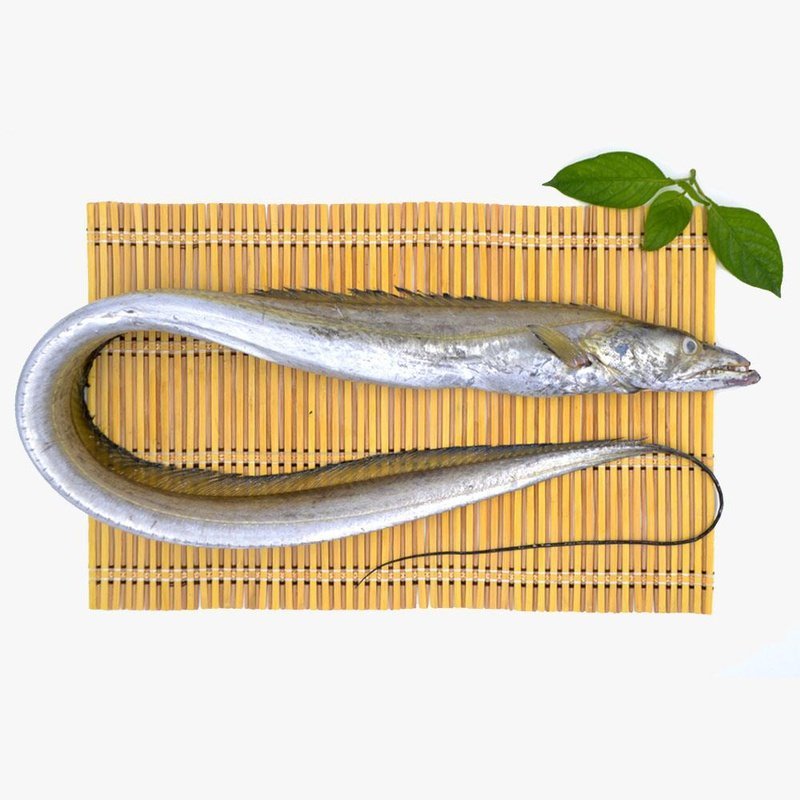 Ribbon Fish Steak (Pontian Wild) / 黄带鱼段(笨珍野生)- 500g - Fish Club