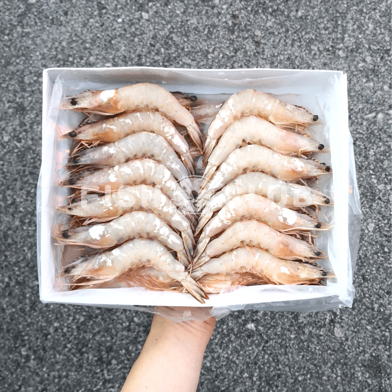 Sea White Prawns (Indo Wild) / 深海明虾 (印尼野生) - 1kg - Fish Club