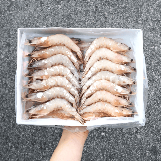 Sea White Prawns (Indo Wild) / 深海明虾 (印尼野生) - 1kg - Fish Club