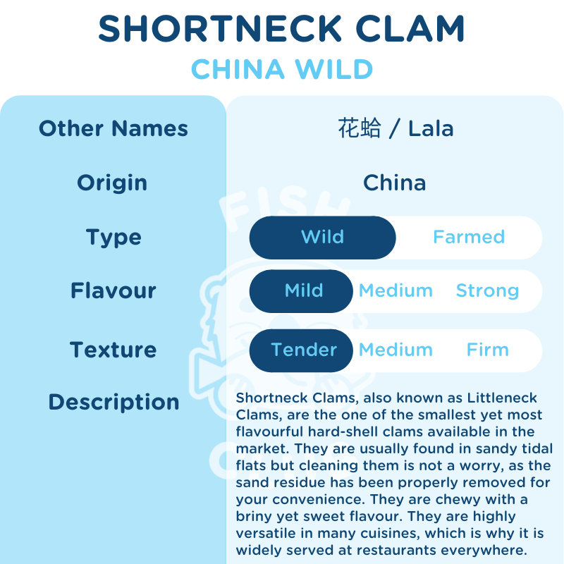 Short Neck Clam / 花蛤 (啦啦) / Lala - 500g - Fish Club