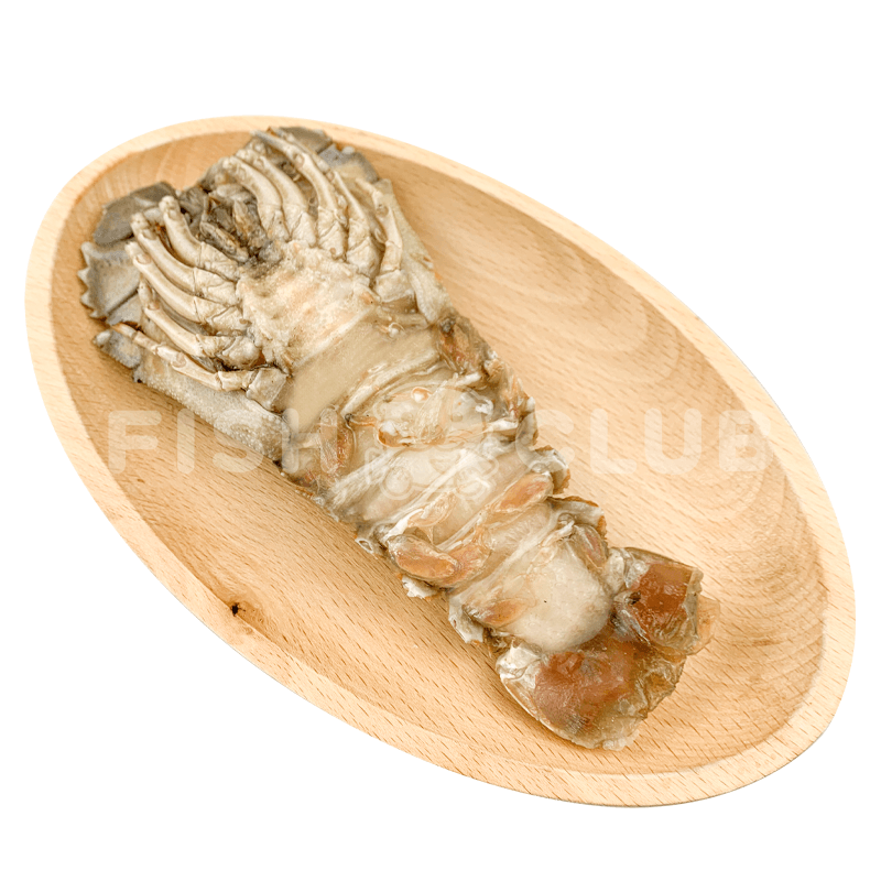 Slipper Lobster (Mersing Wild) / 虾婆 (丰盛港野生) - 130g - Fish Club