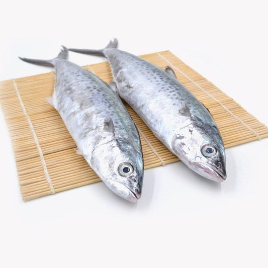 Spotted Spanish Mackerel (Pontian Wild) / 斑点马鲛(笨珍野生) - Fish Club