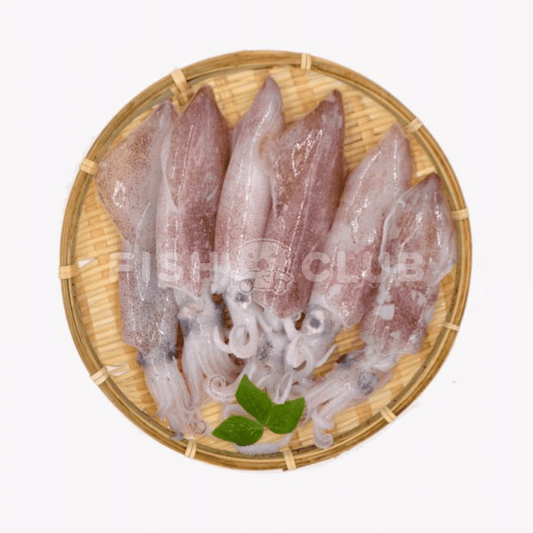 Squids (Pontian Wild) / 苏东(笨珍野生) - 500g - Fish Club