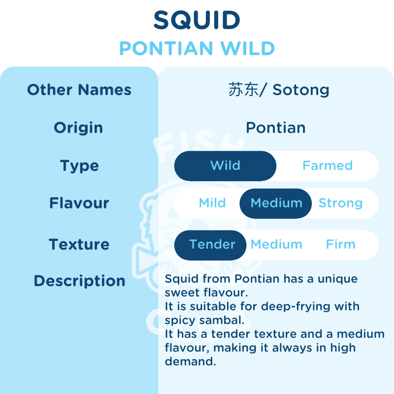 Squids (Pontian Wild) / 苏东(笨珍野生) - 500g - Fish Club