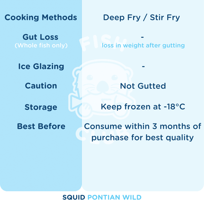 Squids (Pontian Wild) / 苏东(笨珍野生) - 500g - Fish Club