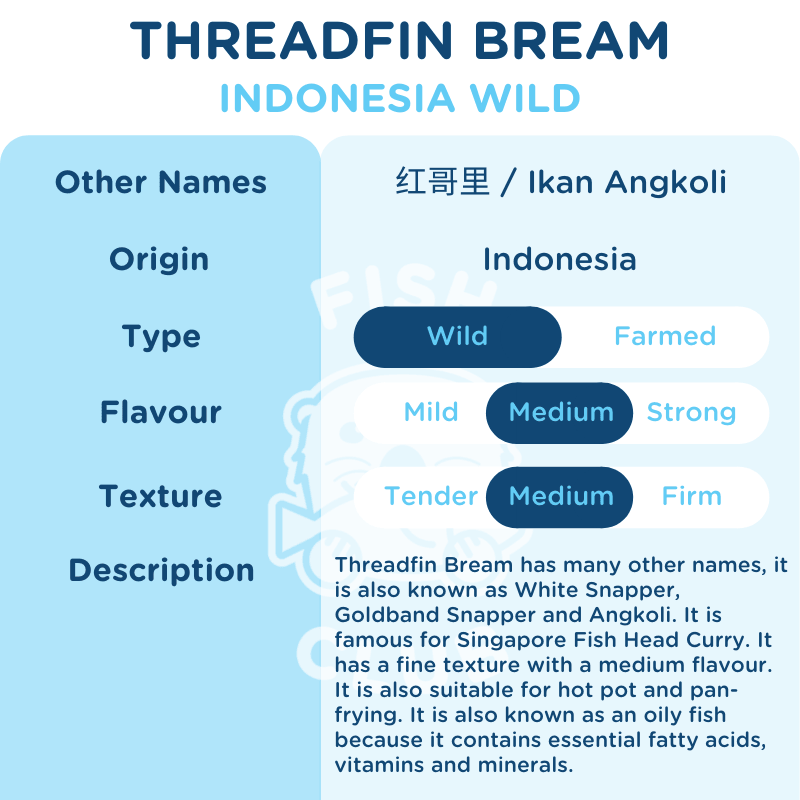 Threadfin Bream (Indonesia Wild) Fillet / 红哥里 (印尼野生) 厚片 - Fish Club