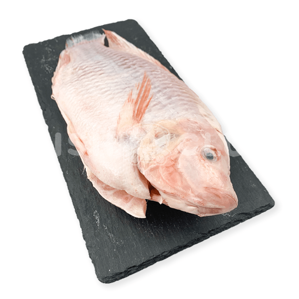 Tilapia (Local Farmed) / 罗非鱼 (本地养殖) - Fish Club