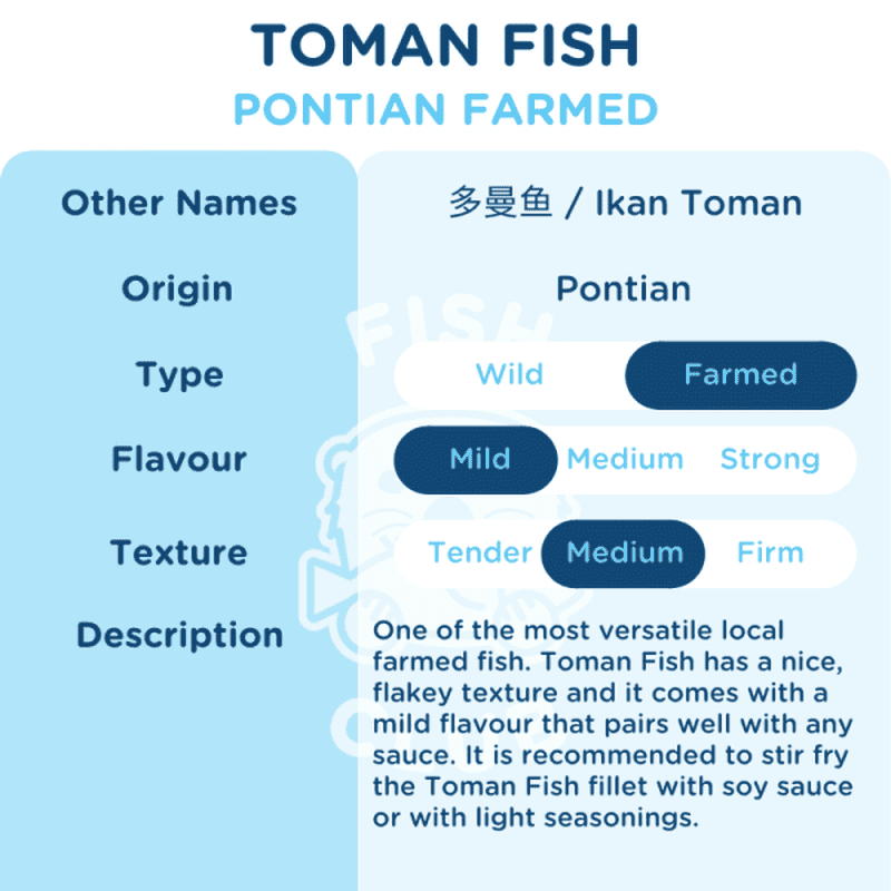 Toman Fish (Pontian Farmed) Slices / 多曼鱼(笨珍养殖)薄片 - 200g - Fish Club