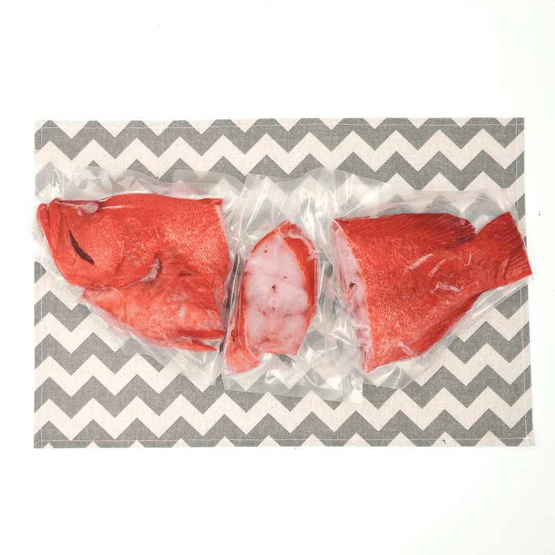 Tomato Grouper (Sabah Wild) Whole Steak / 红瓜子 (沙巴野生) 全鱼段 - Fish Club