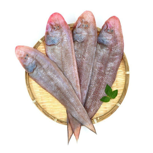 Tongue Fish (Pontian Wild) / 龙舌(笨珍野生) - Fish Club