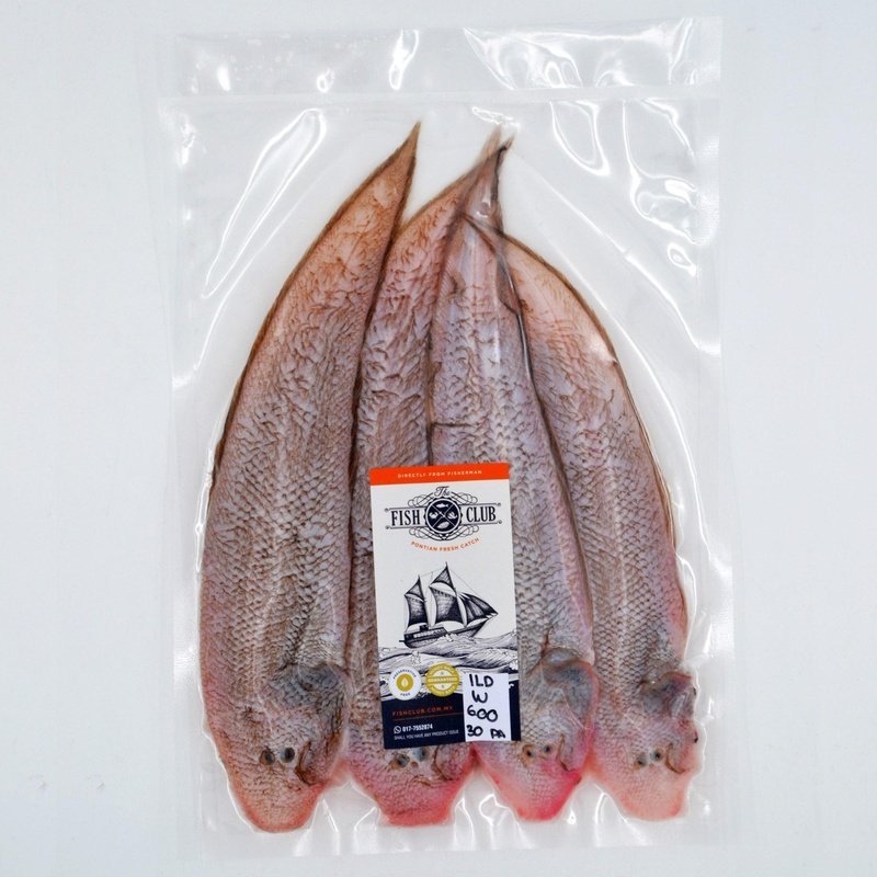 Tongue Fish (Pontian Wild) / 龙舌(笨珍野生) - Fish Club
