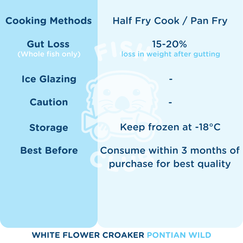 White Flower Croaker (Pontian Wild) / 金斑(笨珍野生) - Fish Club