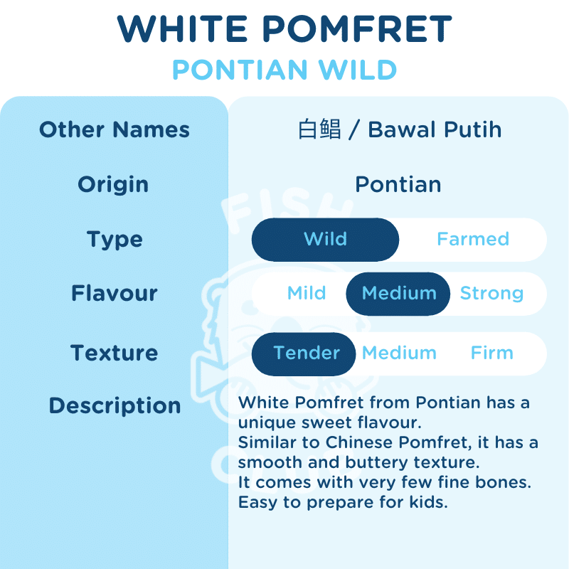 White Pomfret (Pontian Wild) / 白鲳(笨珍野生) - Fish Club