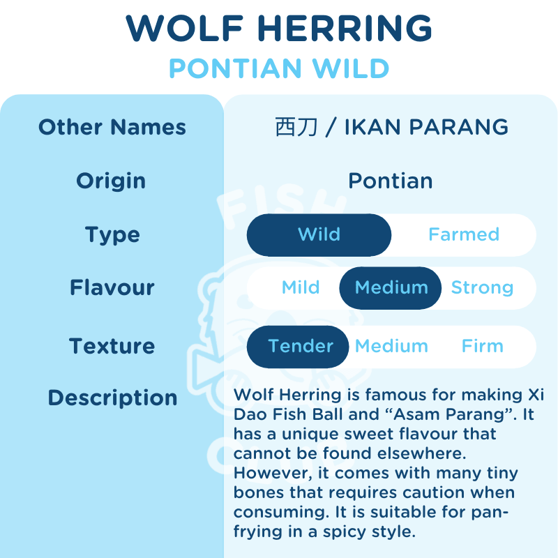 Wolf Herring (Pontian Wild) Steak / 西刀(笨珍野生)鱼段 - Fish Club