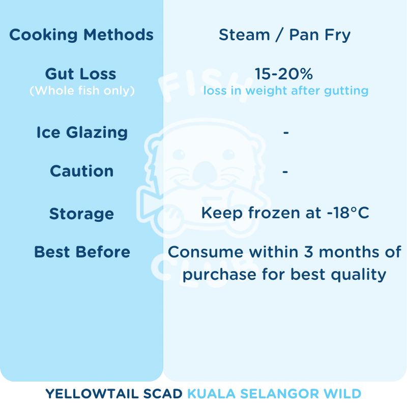 Yellowtail Scad (Kuala Selangor Wild) / 黄尾鲹 (瓜雪野生) - Fish Club