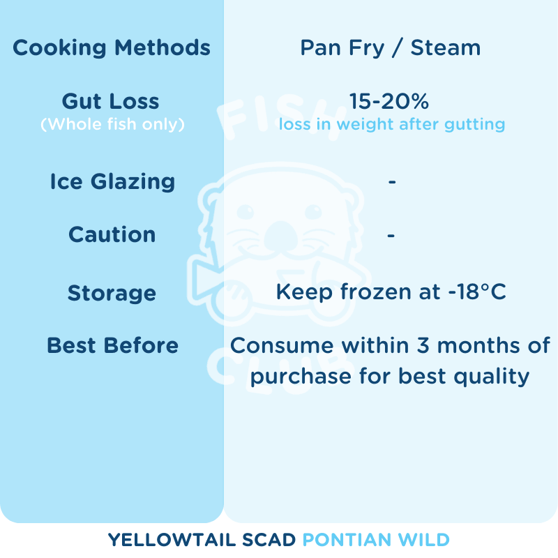 Yellowtail Scad (Pontian Wild) / 黄尾鲹(笨珍野生)- 500g - Fish Club