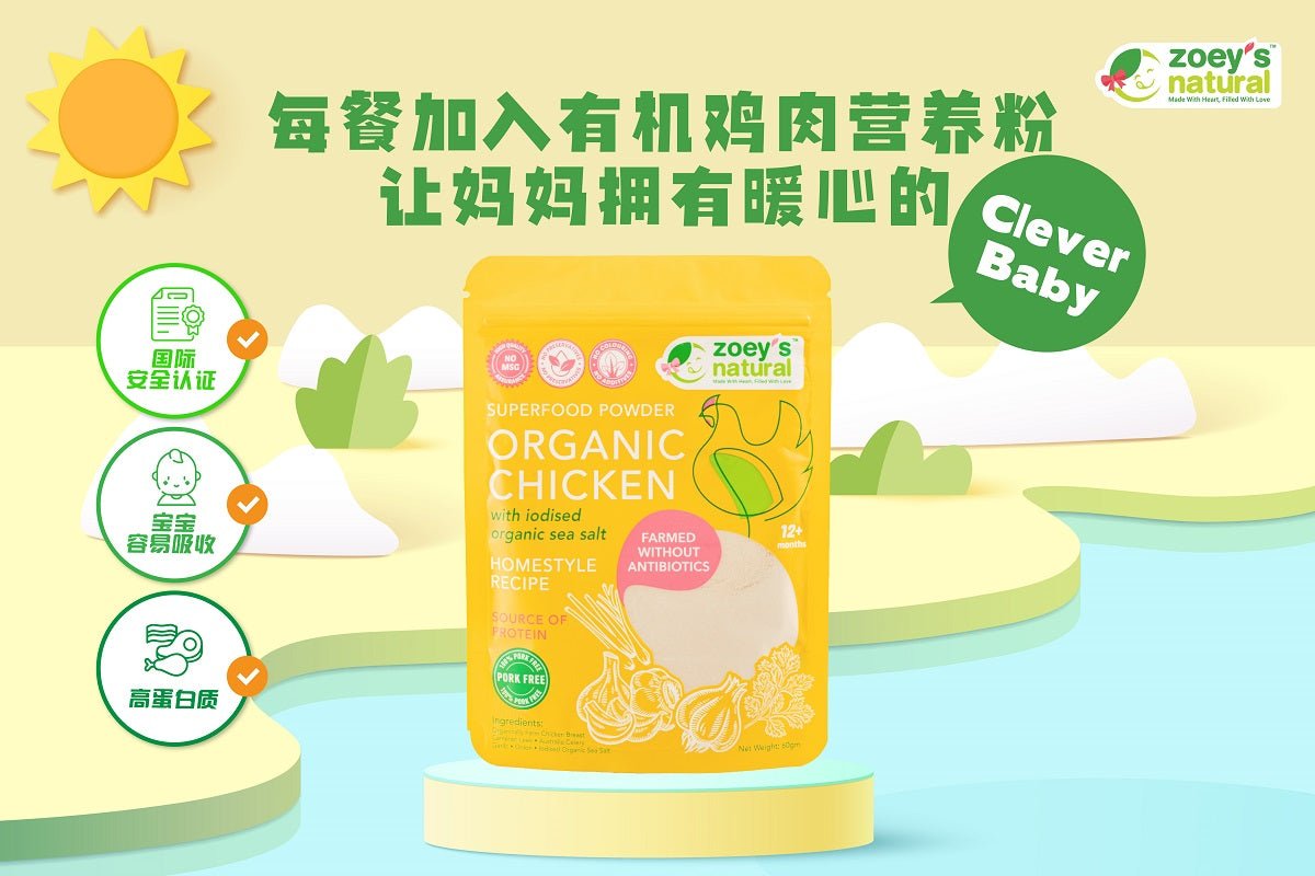 Zoey's Homemade Superfood Powder (3 Flavours) / 超级营养食物粉 (3种口味) - 55-60g - Fish Club