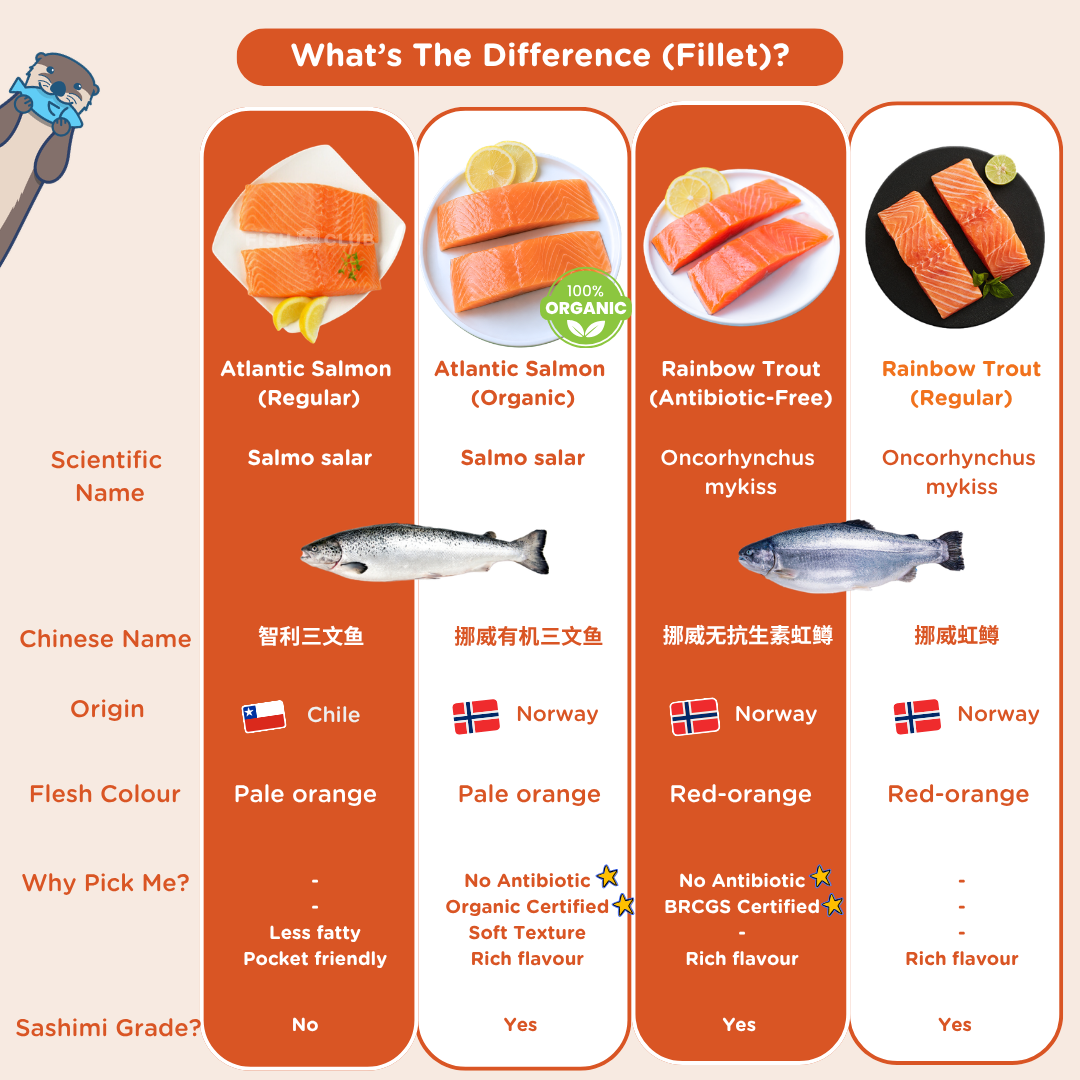 Fish Club 挪威虹鳟鱼与大西洋三文鱼完整指南