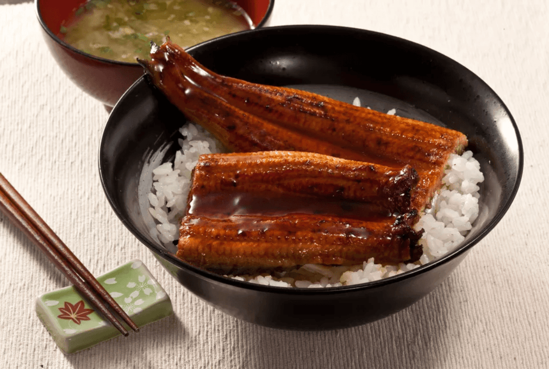 Japanese Style Unagi Eel Rice - Fish Club