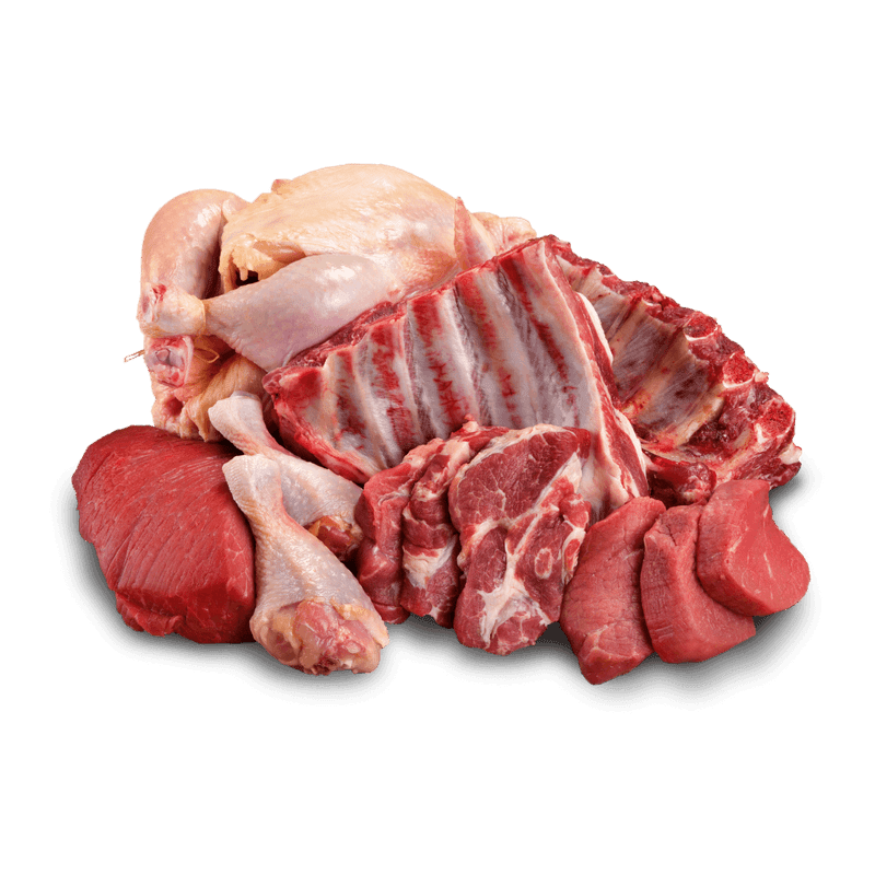 Prime Meat – Fish Club