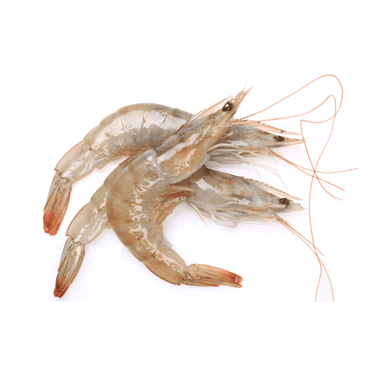From the sea to your door - The Fish Club | Directly from Fisherman