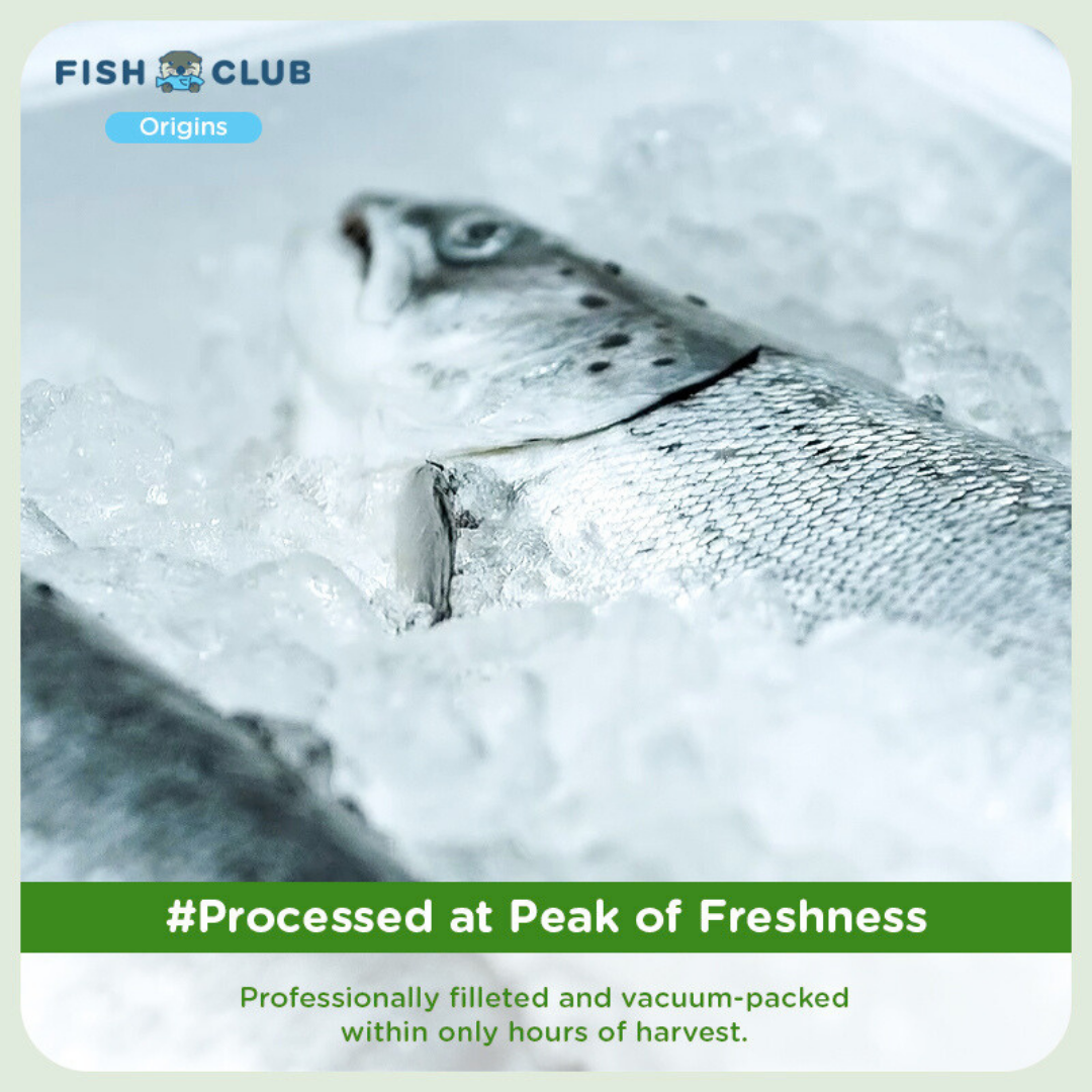 Fish Club Origins’ Organic Atlantic Salmon (Baby Cut)