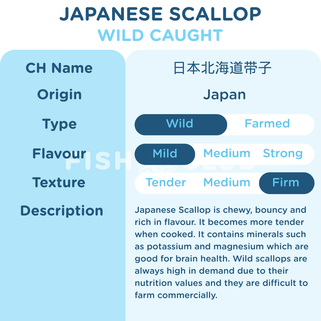 Japanese Hokkaido Wild Scallop /带子 - 500g