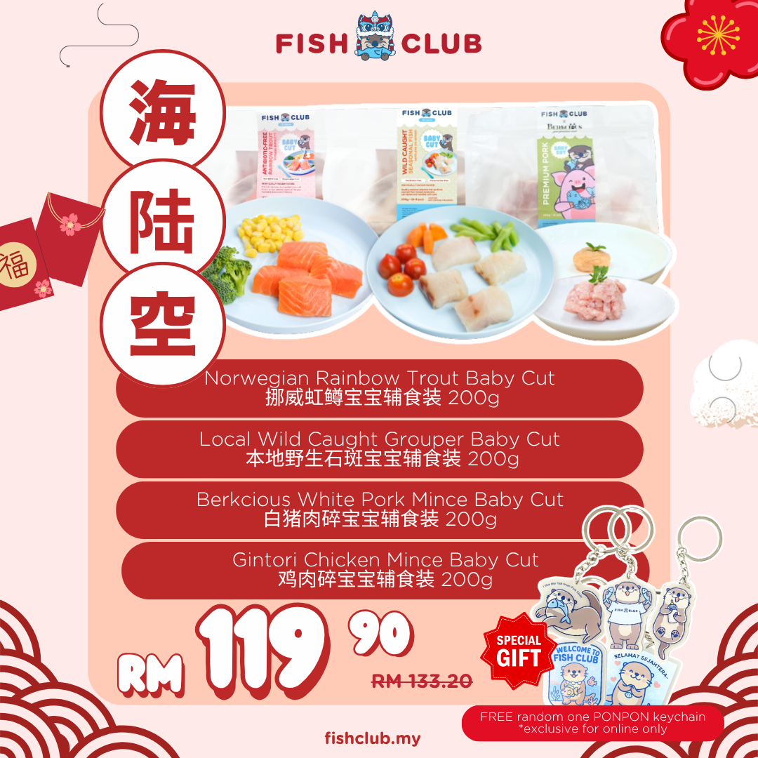 CNY Baby Oceon Land Sky Set / 新岁海陆空配套