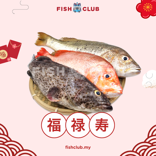 CNY Fú Lù Shòu / 福禄寿